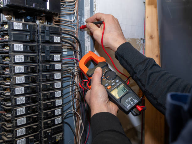 Best Residential Electrician Services  in Newton, AL